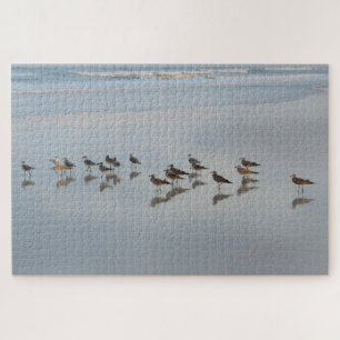 Beach Birds Coastal Natuur Photography Hard Legpuzzel