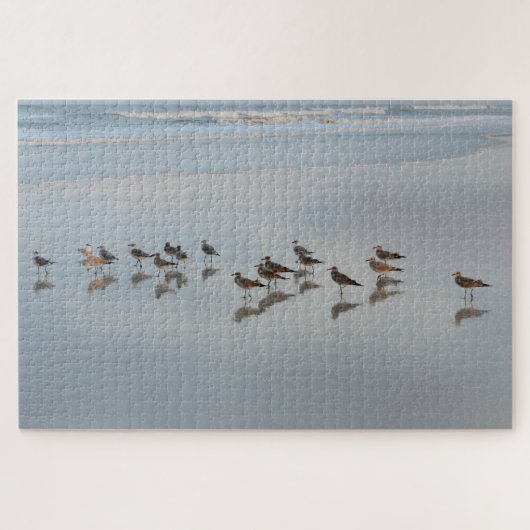 Beach Birds Coastal Natuur Photography Hard Legpuzzel (Horizontaal)