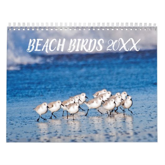 Beach Birds fotografie Kalender (Hoes)