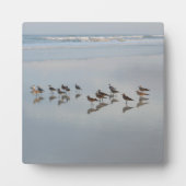 Beach Birds Ocean Waves Natuur Wilde dieren Fotoplaat (Voorkant)