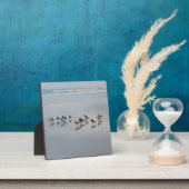 Beach Birds Ocean Waves Natuur Wilde dieren Fotoplaat (Insitu)