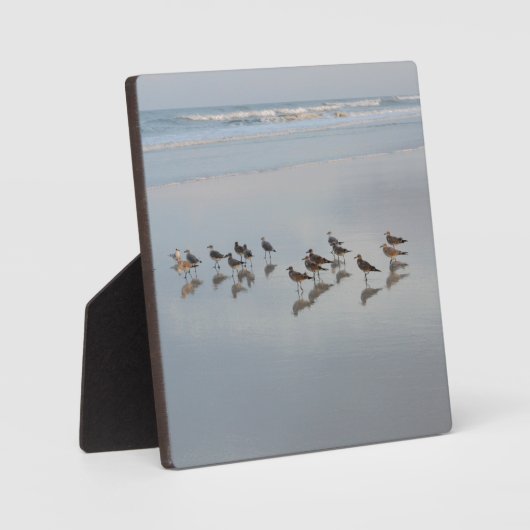 Beach Birds Ocean Waves Natuur Wilde dieren Fotoplaat (Voorkant)