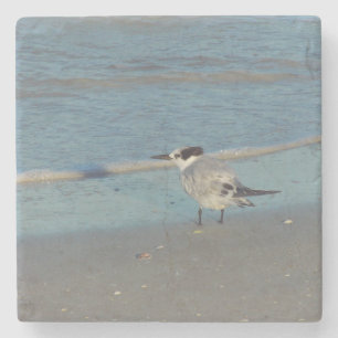 Beach Birds Onderzetter