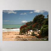 Beach Bliss - Pohutukawa Tree - Wees geduldig Poster (Voorkant)