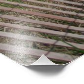 Beach Border Foto Afdruk (Hoek)