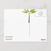 Beach Briefkaart (Achterkant)