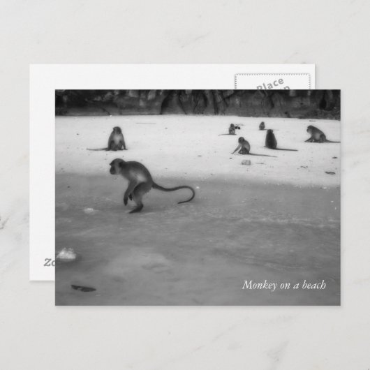 Beach Briefkaart (Voorkant / Achterkant)