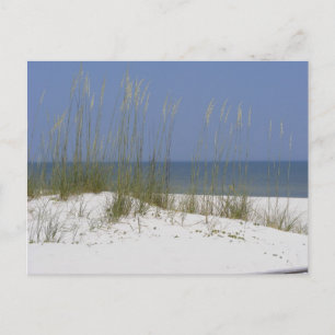 Beach Briefkaart