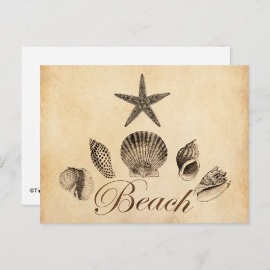 Beach Briefkaart (Voorkant / Achterkant)