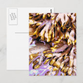 BEACH BRIEFKAART (Voorkant / Achterkant)