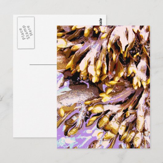 BEACH BRIEFKAART (Voorkant / Achterkant)