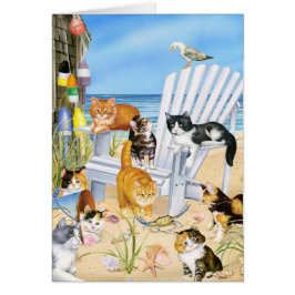 Beach Bum Katten!