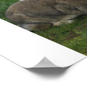 Beach Bunnies Poster - Gepersonaliseerd (Hoek)