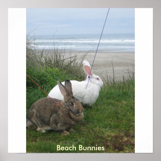 Beach Bunnies Poster - Gepersonaliseerd (Voorkant)