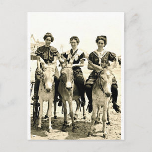 Beach Burros Briefkaart