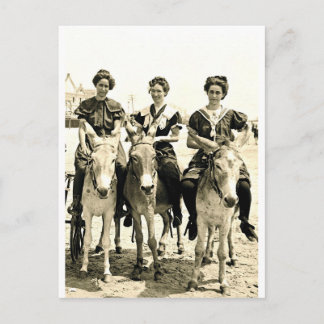 Beach Burros Briefkaart