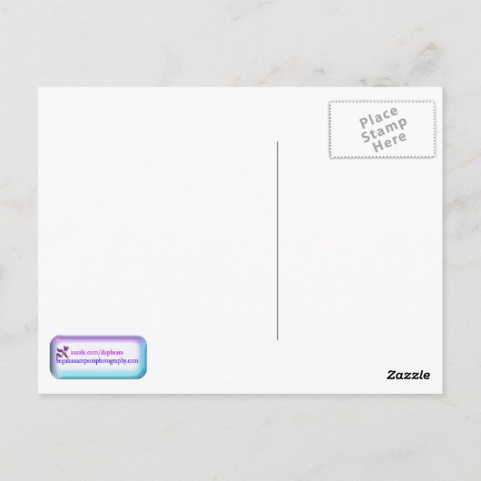 Beach Campfire in Dusk Cape Cod Briefkaart (Achterkant)