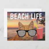 BEACH CAT GINGER SUNGLASSES BRIEFKAART (Voorkant / Achterkant)