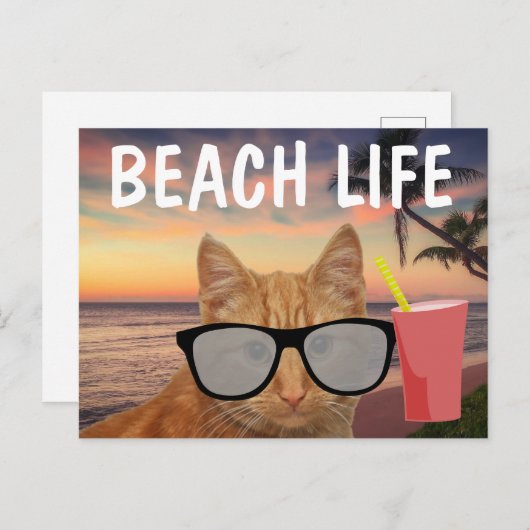 BEACH CAT GINGER SUNGLASSES BRIEFKAART (Voorkant / Achterkant)