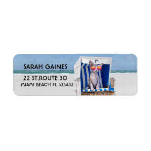 BEACH CAT MET SUNGLASSES Return Address Labels