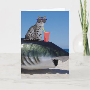BEACH CAT OP SHARK FUNNY BIRTHDAY CARD KAART