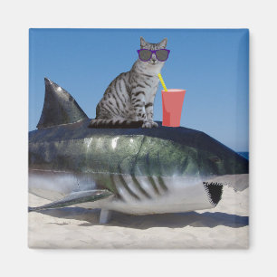BEACH CAT OP SHARK FUNNY magneten