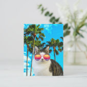 BEACH CAT SUNGLASSEN BRIEFKAARTEN (Staand voorkant)