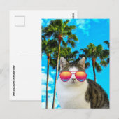 BEACH CAT SUNGLASSEN BRIEFKAARTEN (Voorkant / Achterkant)