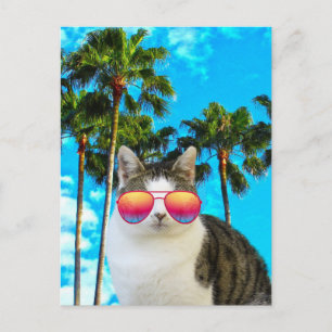 BEACH CAT SUNGLASSEN BRIEFKAARTEN