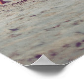 Beach Chairs in Blue and Oranje Photo Poster (Hoek)