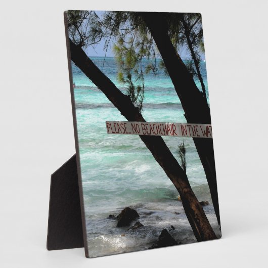 Beach Chairs Rum Point Grand Cayman Fotoplaat (Zijkant)