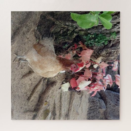 Beach Chick Legpuzzel (Horizontaal)