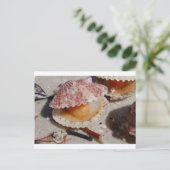 Beach Clam Briefkaart (Staand voorkant)