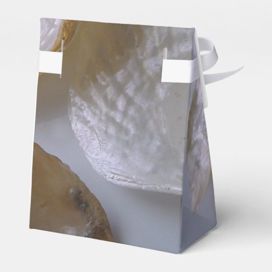 Beach Clams Wedding Bedankdoosjes (Achterkant)