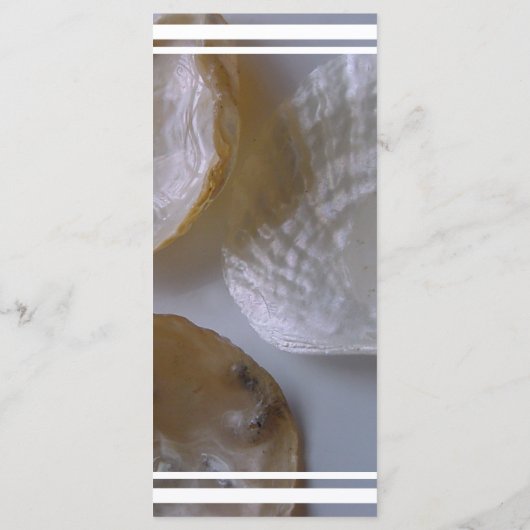 Beach Clams Wedding Menu (Achterkant)