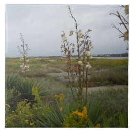 Beach Clouds and Wildbloemen - Oak Island, NC Tegeltje