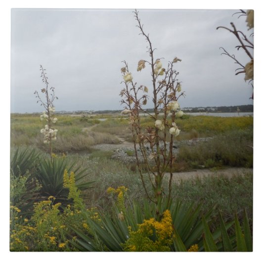 Beach Clouds and Wildbloemen - Oak Island, NC Tegeltje (Voorkant)