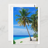 Beach Coconut Tree Briefkaart (Voorkant / Achterkant)