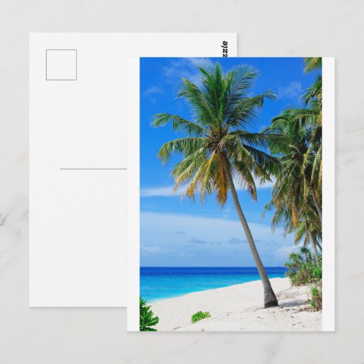 Beach Coconut Tree Briefkaart (Voorkant / Achterkant)