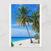 Beach Coconut Tree Briefkaart (Voorkant)