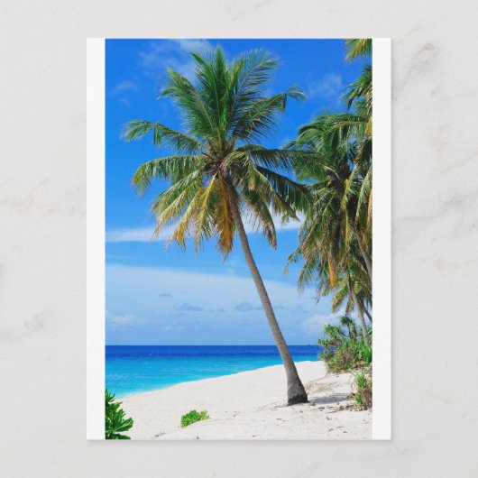 Beach Coconut Tree Briefkaart (Voorkant)