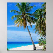 Beach Coconut Tree Poster (Voorkant)
