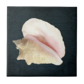 Beach Conch Seashell Coastal Shell Navy Blue Wood Tegeltje (Voorkant)