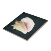 Beach Conch Seashell Coastal Shell Navy Blue Wood Tegeltje (Zijkant)