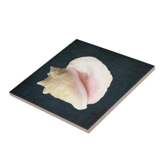Beach Conch Seashell Coastal Shell Navy Blue Wood Tegeltje (Zijkant)