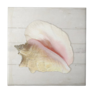 Beach Conch Seashell Coastal Shell White Wood Tegeltje