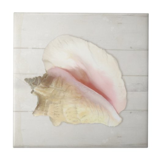 Beach Conch Seashell Coastal Shell White Wood Tegeltje (Voorkant)
