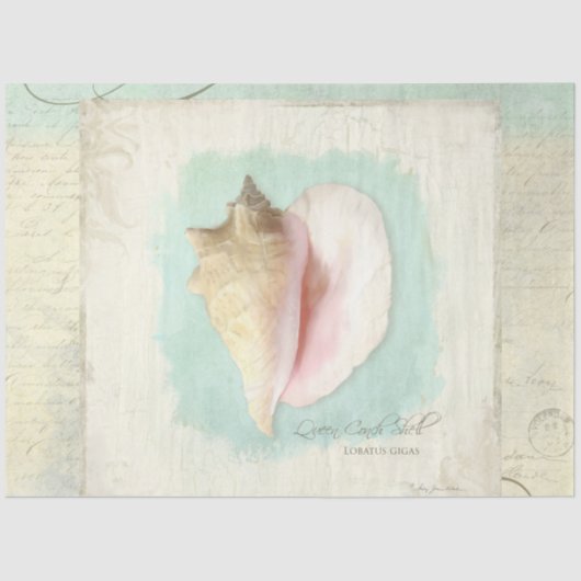 Beach Conch Zee Shell Blue Waterverf Decoupage Tissuepapier (Voorkant)