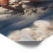 Beach Crab Poster (Hoek)