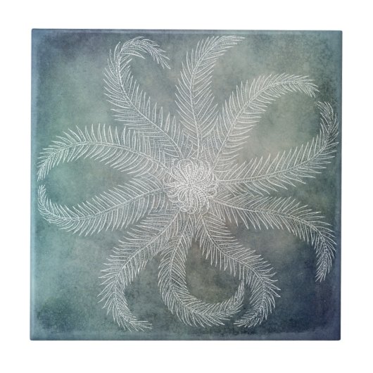 Beach Decor Zee Star Blue Waterverf Blauwgroen Ind Tegeltje (Voorkant)